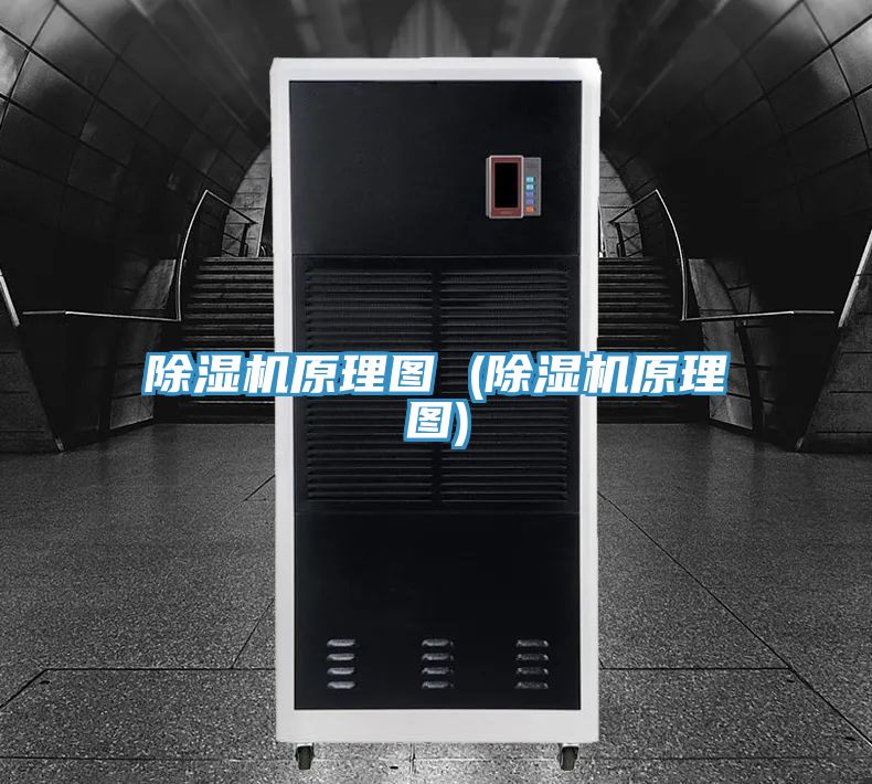 免费看操逼软件原理图 (免费看操逼软件原理图)