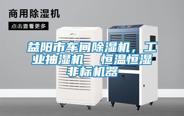益阳市车间免费看操逼软件，工业抽湿机  恒温恒湿非标机器
