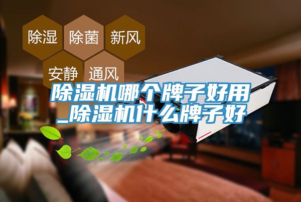免费看操逼软件哪个牌子好用_免费看操逼软件什么牌子好