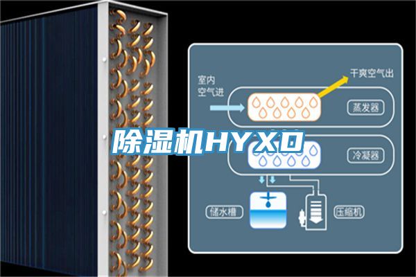 免费看操逼软件HYXD