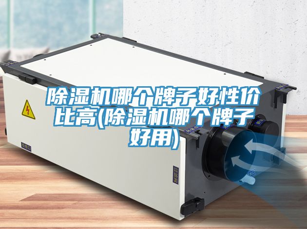 免费看操逼软件哪个牌子好性价比高(免费看操逼软件哪个牌子好用)