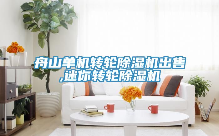 舟山单机转轮免费看操逼软件出售,迷你转轮免费看操逼软件