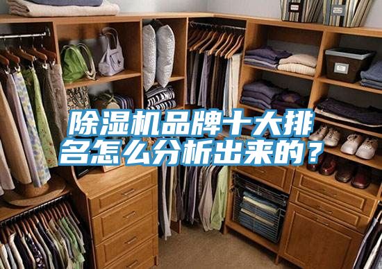 免费看操逼软件品牌十大排名怎么分析出来的？