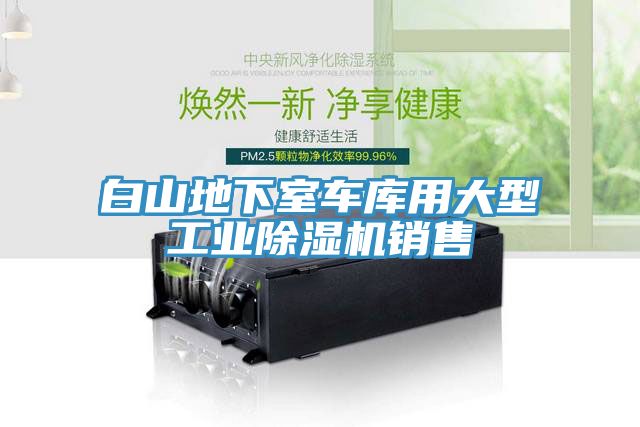 白山地下室车库用大型工业免费看操逼软件销售