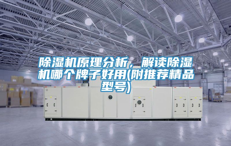 免费看操逼软件原理分析，解读免费看操逼软件哪个牌子好用(附推荐精品型号)