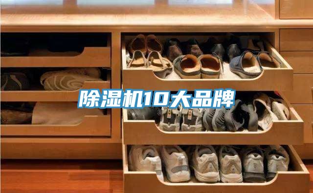 免费看操逼软件10大品牌