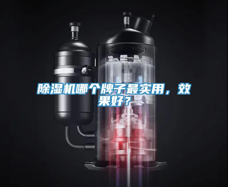 免费看操逼软件哪个牌子最实用，效果好？