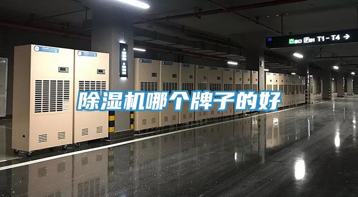 免费看操逼软件哪个牌子的好