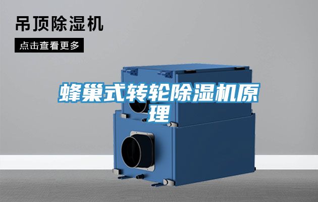 蜂巢式转轮免费看操逼软件原理