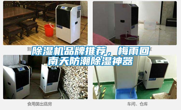 免费看操逼软件品牌推荐，梅雨回南天防潮除湿神器