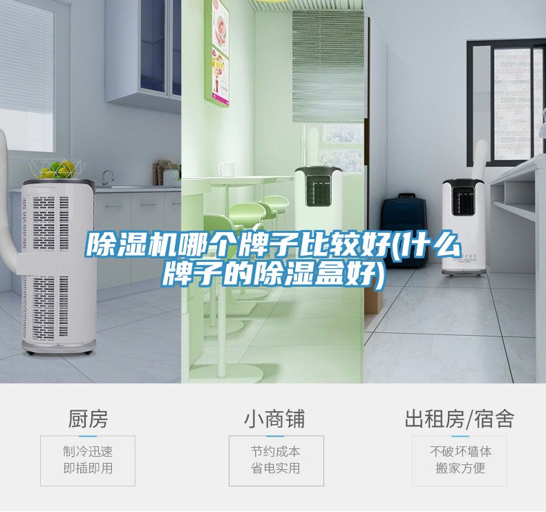 免费看操逼软件哪个牌子比较好(什么牌子的除湿盒好)