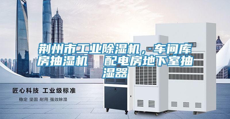 荆州市工业免费看操逼软件，车间库房抽湿机  配电房地下室抽湿器
