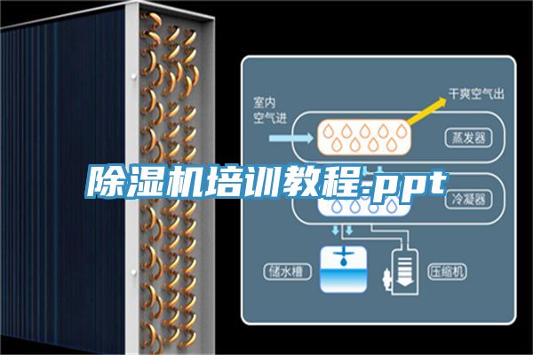 免费看操逼软件培训教程.ppt