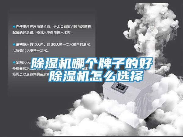 免费看操逼软件哪个牌子的好 免费看操逼软件怎么选择