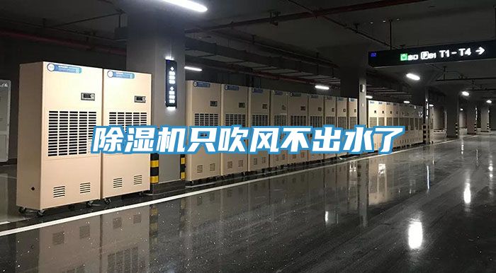 免费看操逼软件只吹风不出水了