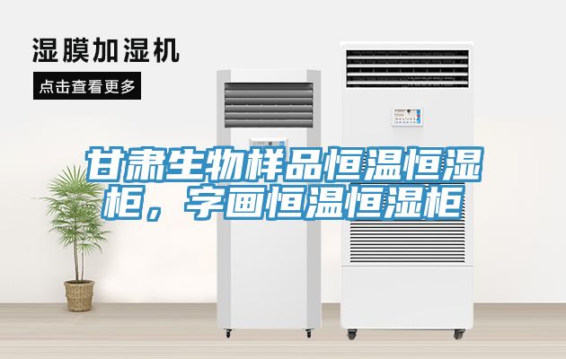 甘肃生物样品恒温恒湿柜，字画恒温恒湿柜