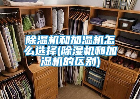 免费看操逼软件和加湿机怎么选择(免费看操逼软件和加湿机的区别)