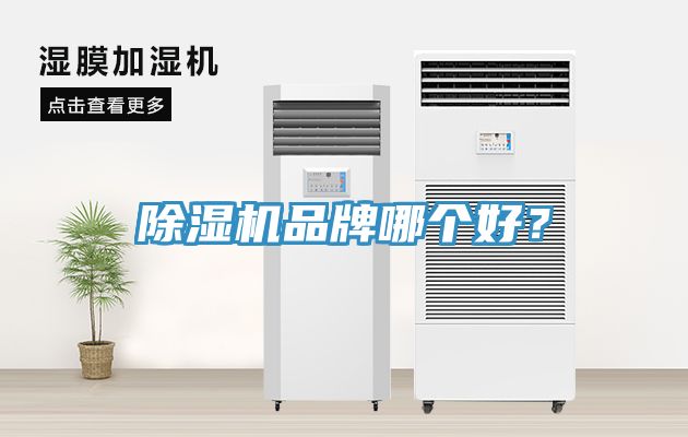 免费看操逼软件品牌哪个好？