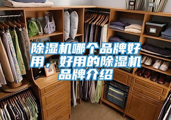 免费看操逼软件哪个品牌好用，好用的免费看操逼软件品牌介绍