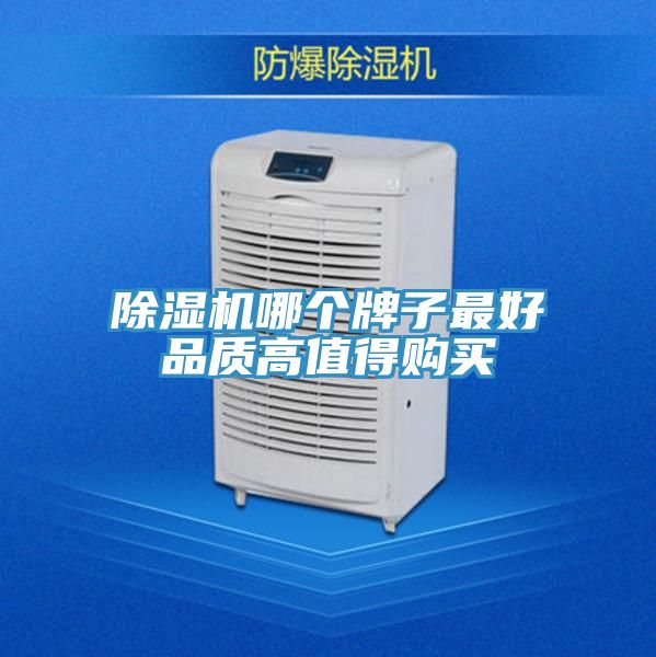 免费看操逼软件哪个牌子最好品质高值得购买