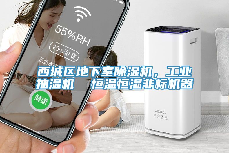西城区地下室免费看操逼软件，工业抽湿机  恒温恒湿非标机器