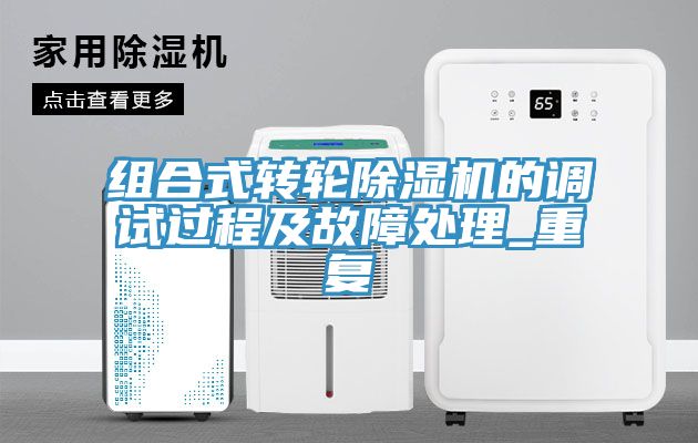组合式转轮免费看操逼软件的调试过程及故障处理_重复