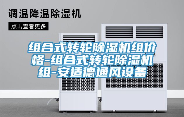 组合式转轮免费看操逼软件组价格-组合式转轮免费看操逼软件组-安适德通风设备