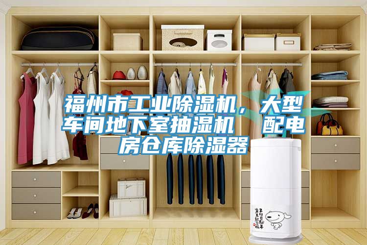 福州市工业免费看操逼软件，大型车间地下室抽湿机  配电房仓库除湿器
