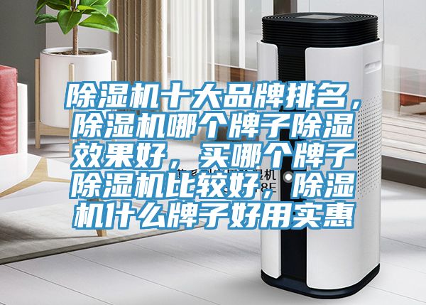 免费看操逼软件十大品牌排名，免费看操逼软件哪个牌子除湿效果好，买哪个牌子免费看操逼软件比较好，免费看操逼软件什么牌子好用实惠