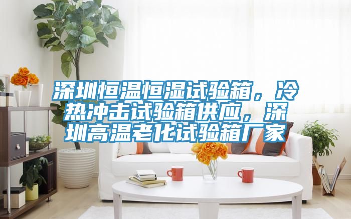 深圳恒温恒湿试验箱，冷热冲击试验箱供应，深圳高温老化试验箱厂家