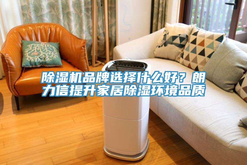 免费看操逼软件品牌选择什么好？朗力信提升家居除湿环境品质