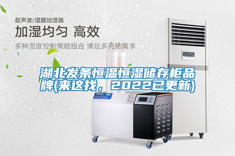 湖北发条恒温恒湿储存柜品牌(来这找，2022已更新)