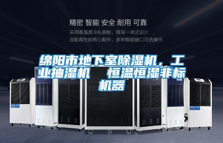 绵阳市地下室免费看操逼软件，工业抽湿机  恒温恒湿非标机器
