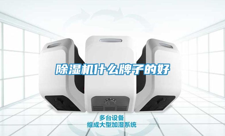 免费看操逼软件什么牌子的好