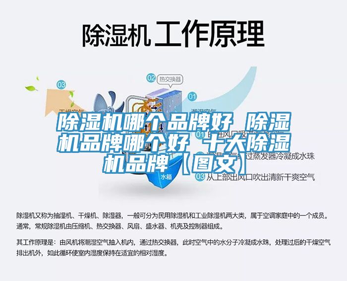 免费看操逼软件哪个品牌好 免费看操逼软件品牌哪个好 十大免费看操逼软件品牌【图文】