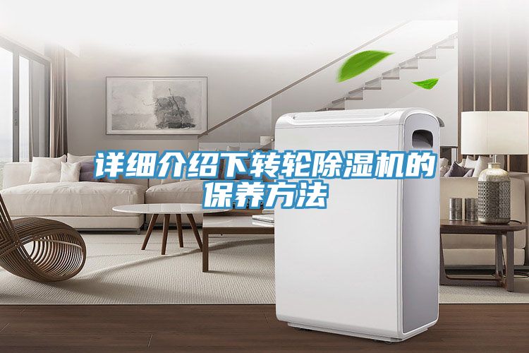 详细介绍下转轮免费看操逼软件的保养方法