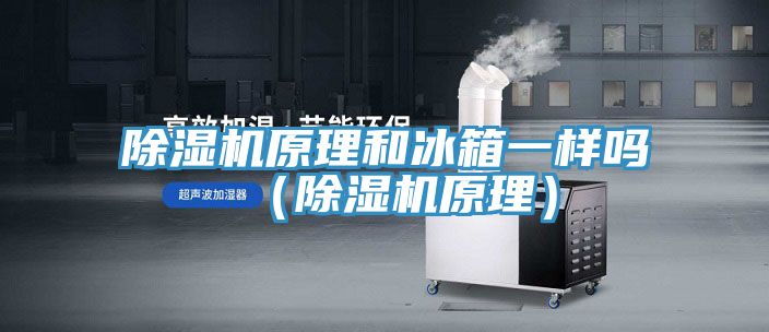 免费看操逼软件原理和冰箱一样吗（免费看操逼软件原理）