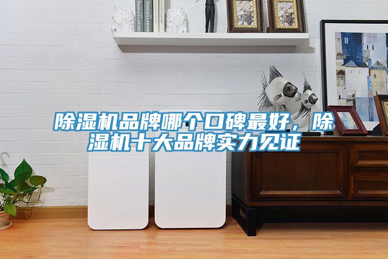免费看操逼软件品牌哪个口碑最好，免费看操逼软件十大品牌实力见证