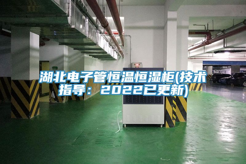 湖北电子管恒温恒湿柜(技术指导：2022已更新)