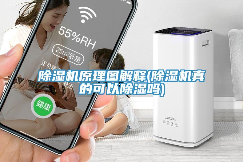 免费看操逼软件原理图解释(免费看操逼软件真的可以除湿吗)