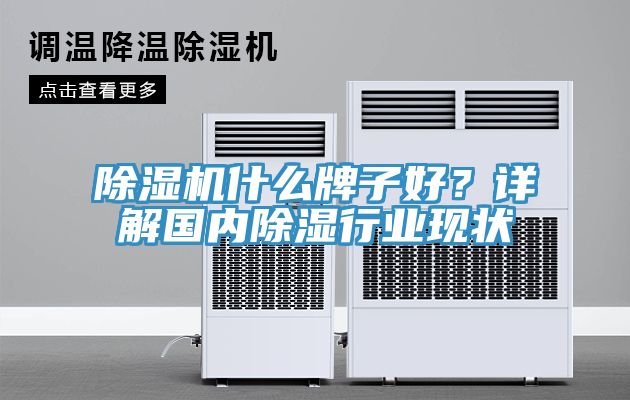 免费看操逼软件什么牌子好？详解国内除湿行业现状