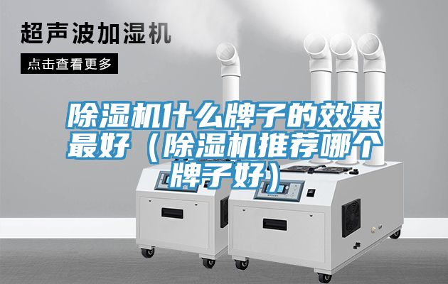 免费看操逼软件什么牌子的效果最好（免费看操逼软件推荐哪个牌子好）