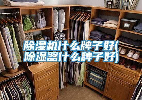 免费看操逼软件什么牌子好(除湿器什么牌子好)