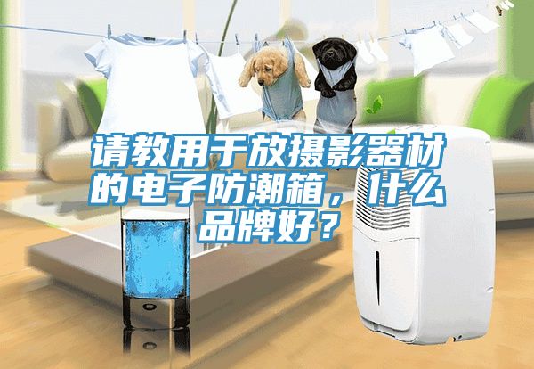 请教用于放摄影器材的电子防潮箱，什么品牌好？