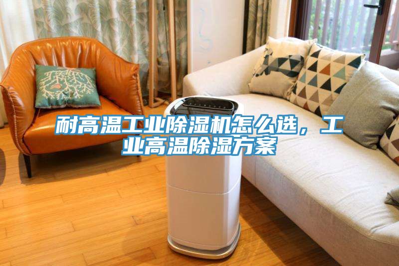 耐高温工业免费看操逼软件怎么选，工业高温除湿方案