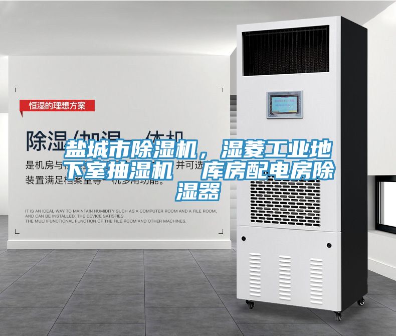 盐城市免费看操逼软件，湿菱工业地下室抽湿机  库房配电房除湿器