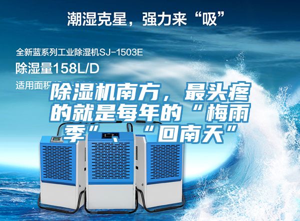 免费看操逼软件南方，最头疼的就是每年的“梅雨季”、“回南天”