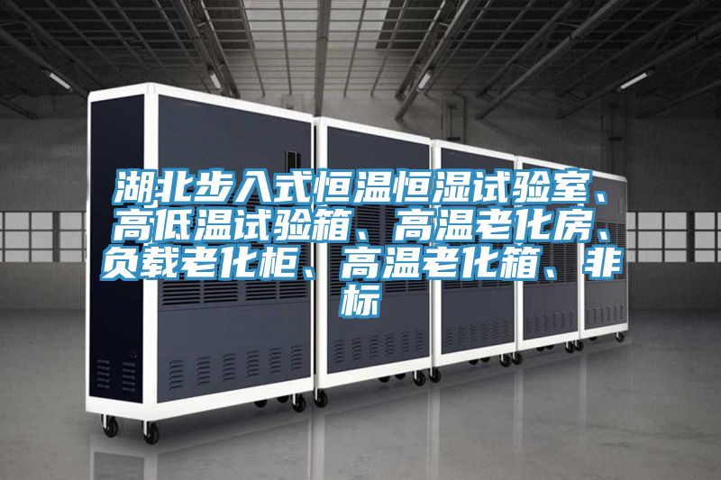湖北步入式恒温恒湿试验室、高低温试验箱、高温老化房、负载老化柜、高温老化箱、非标