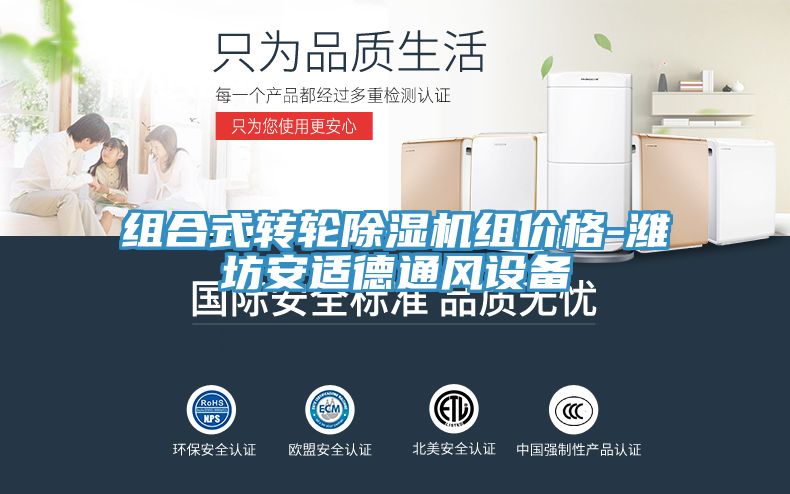 组合式转轮免费看操逼软件组价格-潍坊安适德通风设备