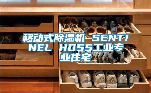移动式免费看操逼软件 SENTINEL HD55工业专业住宅